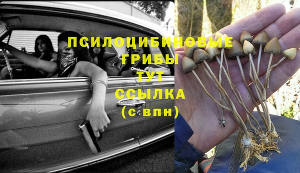 ALPHA PVP Алексин