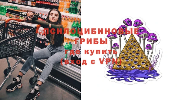 не бодяженный Алзамай