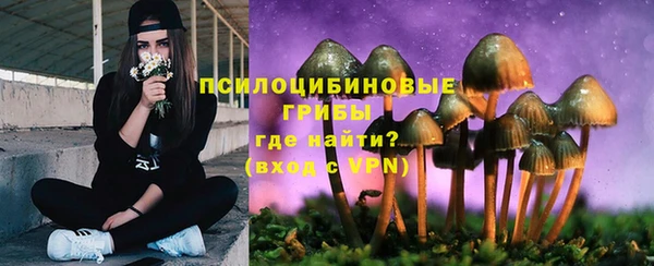 ALPHA PVP Алексин