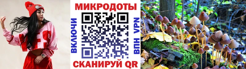Галлюциногенные грибы MAGIC MUSHROOMS  Сасово 
